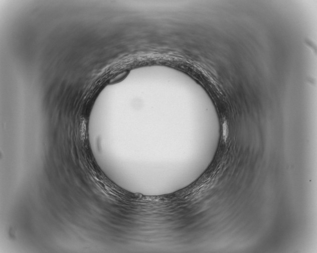 X0000097001492200802221509