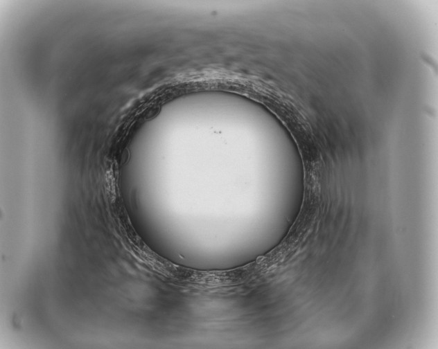 X0000097001493200802221509