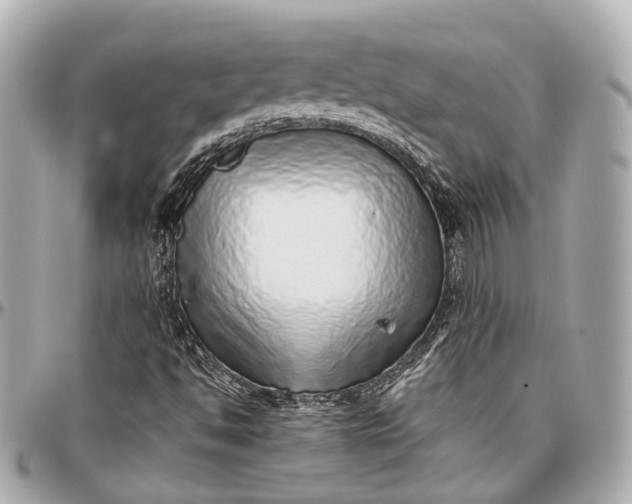 X0000097001494200802221509