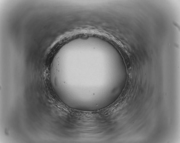 X0000097001495200802221509