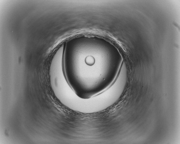 X0000097001496200802221509