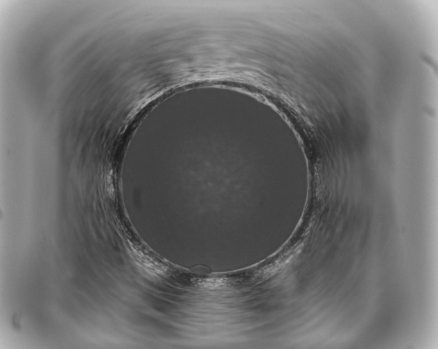 X0000097001497200802221509