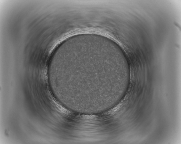 X0000097001498200802221509