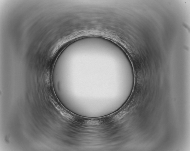 X0000097001499200802221509