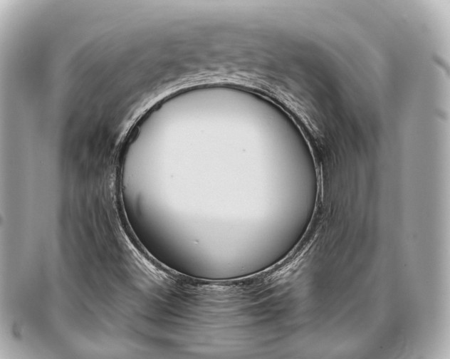 X0000097001500200802221509