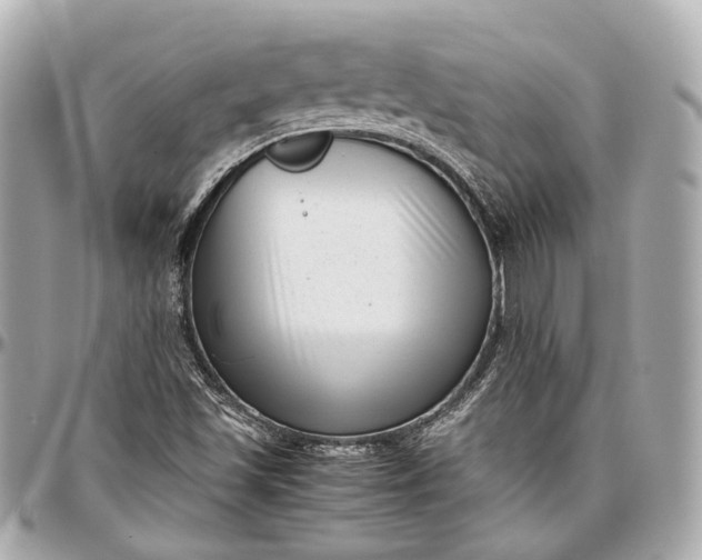 X0000097001501200802221509