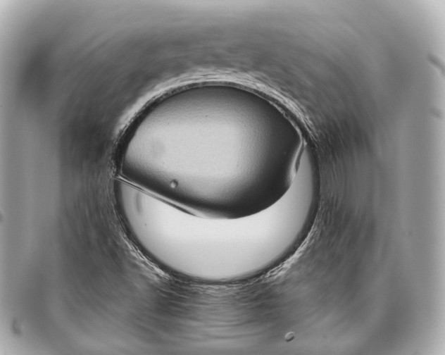 X0000097001502200802221509