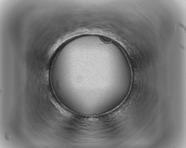 X0000097001503200802221509