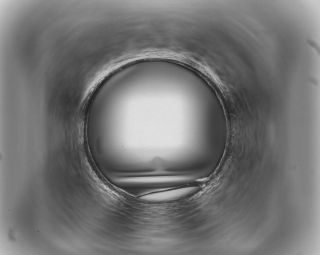 X0000097001504200802221509