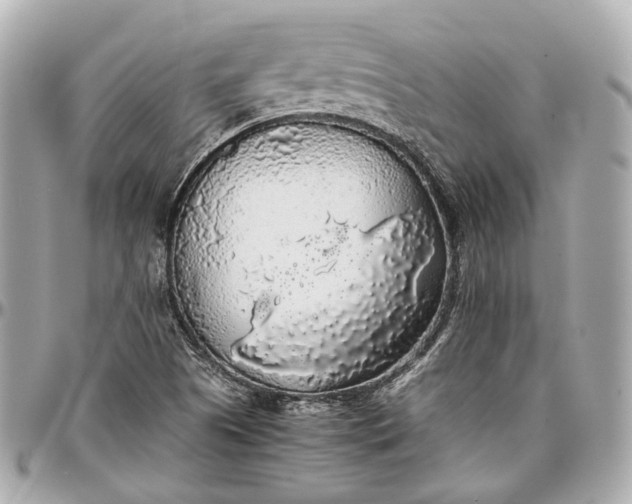 X0000097001505200802221509