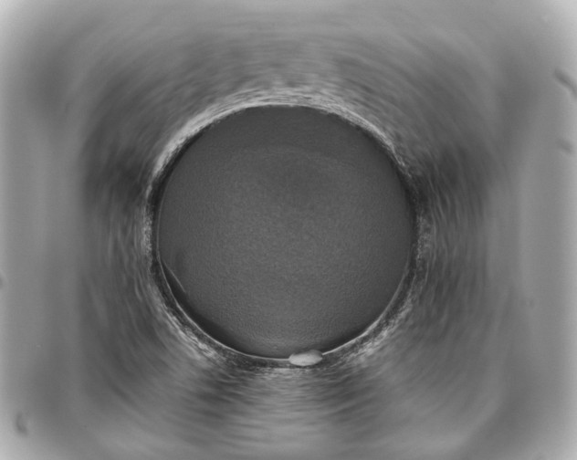 X0000097001506200802221509