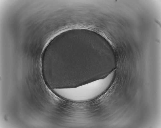 X0000097001508200802221509