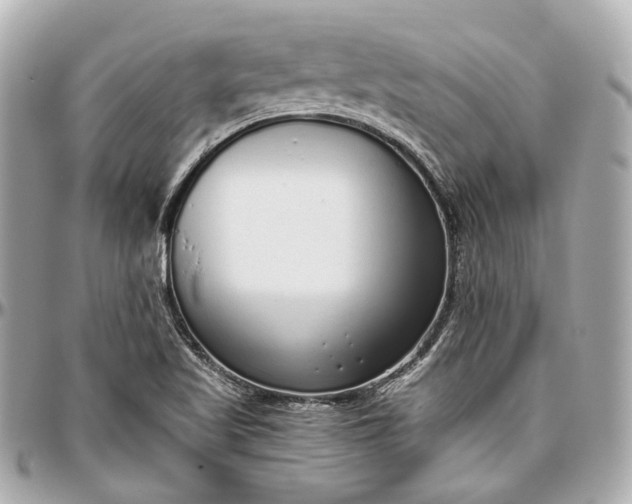 X0000097001509200802221509