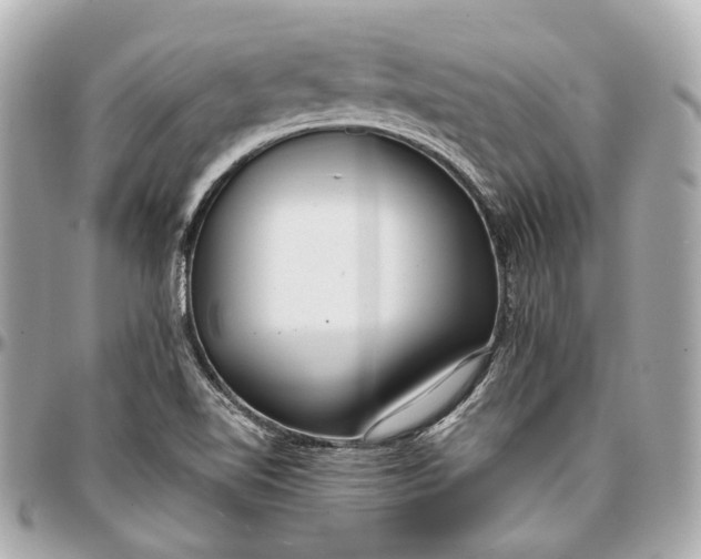 X0000097001510200802221509