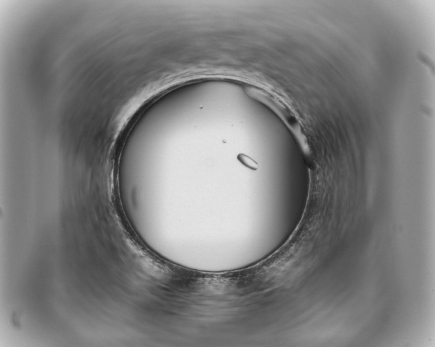 X0000097001511200802221509