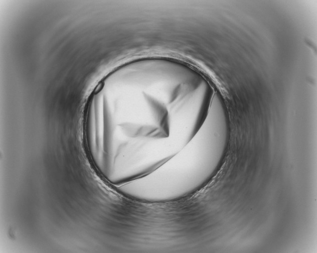 X0000097001512200802221509