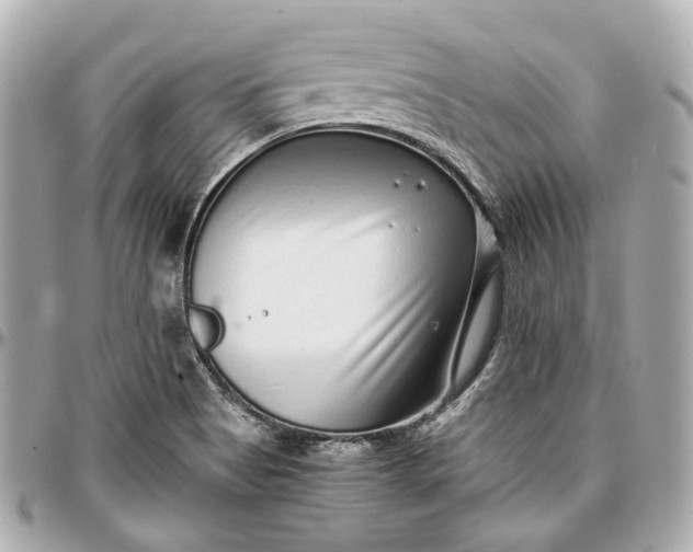 X0000097001513200802221509