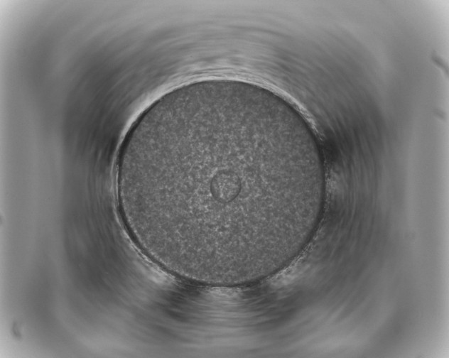 X0000097001514200802221509