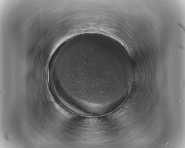 X0000097001515200802221509