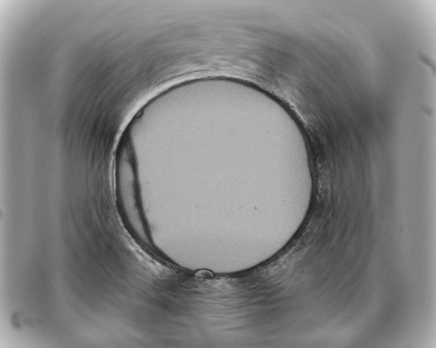 X0000097001516200802221509