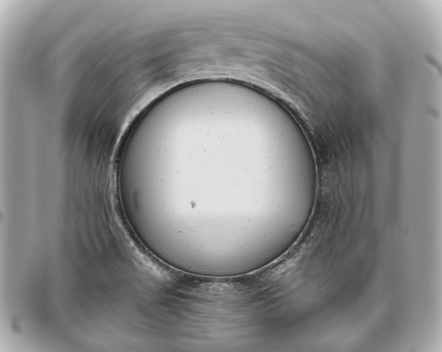 X0000097001517200802221509