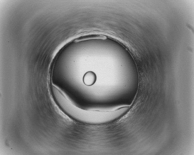 X0000097001518200802221509