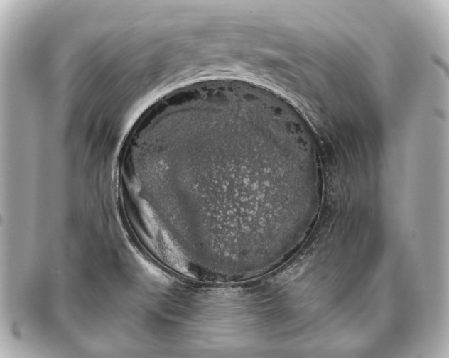 X0000097001519200802221509