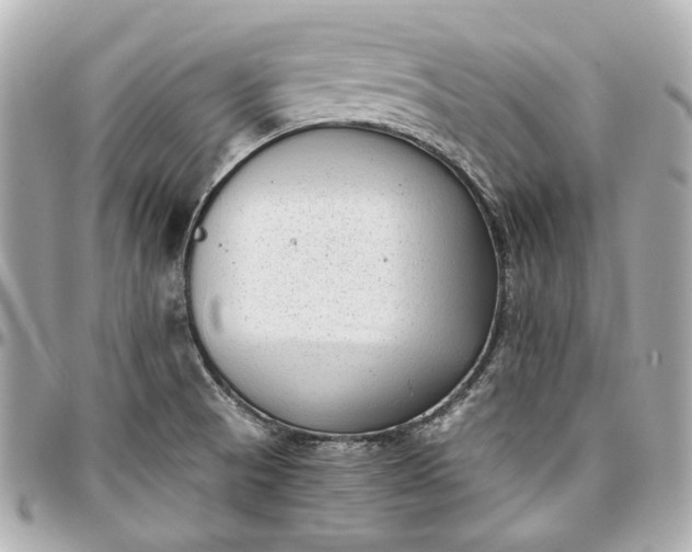 X0000097001521200802221509