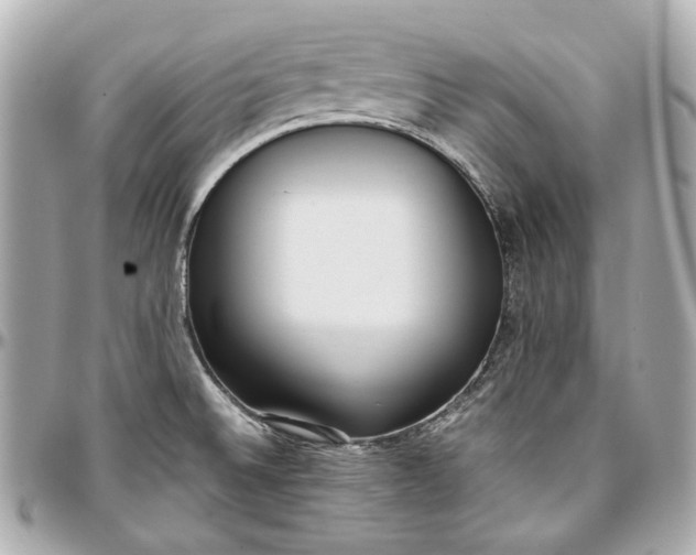 X0000097001524200802221510