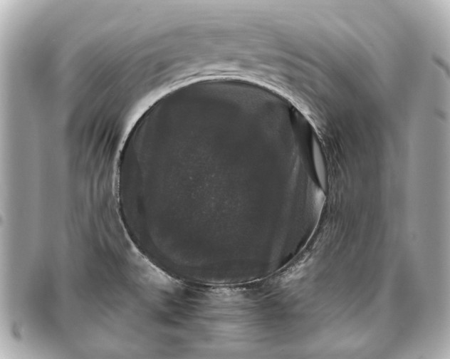 X0000097001527200802221510