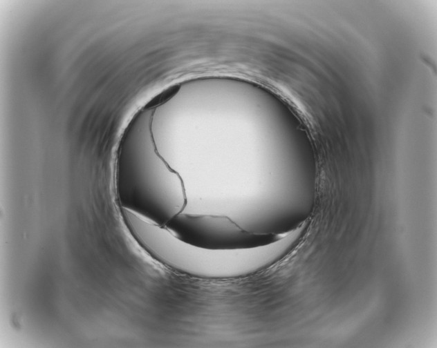 X0000097001528200802221510