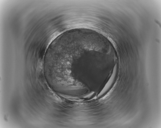 X0000097001529200802221510