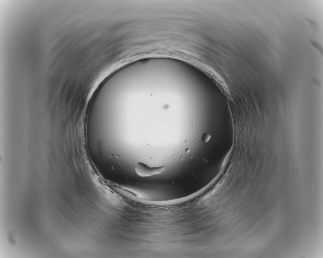 X0000097001530200802221510