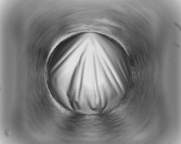 X0000097001531200802221510