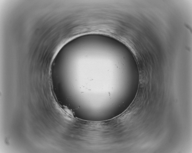 X0000097001532200802221510