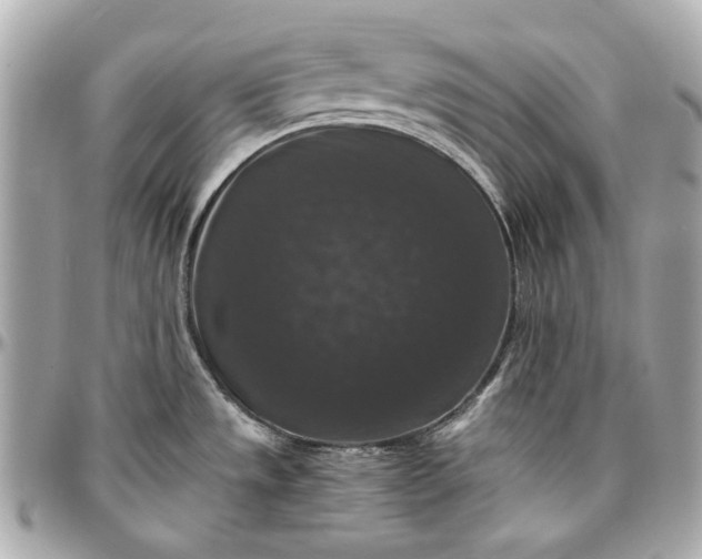 X0000097001533200802221510