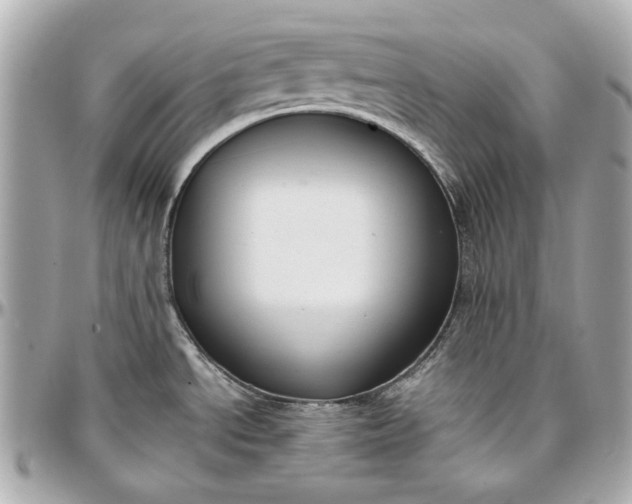 X0000097001534200802221510