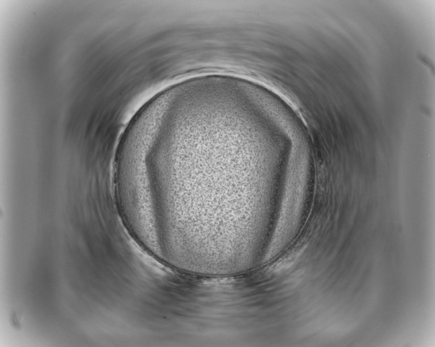 X0000097001535200802221510