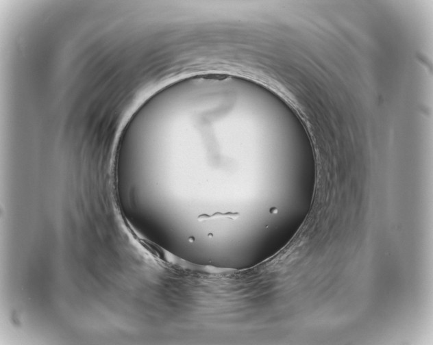 X0000097001536200802221510