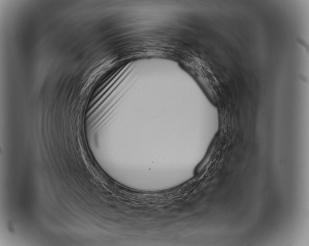 X0000097000001200802291158