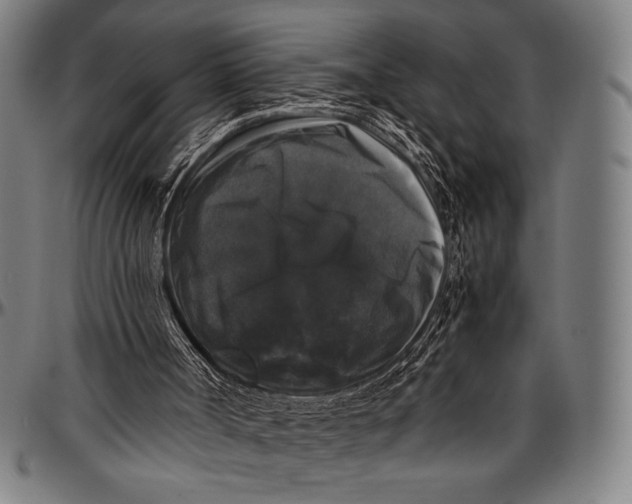 X0000097000002200802291158