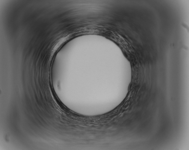 X0000097000003200802291158