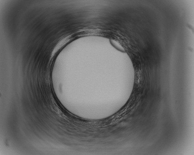 X0000097000004200802291158