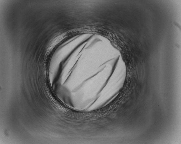 X0000097000005200802291158