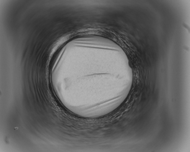 X0000097000006200802291158