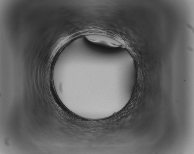 X0000097000007200802291158