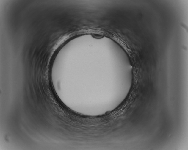 X0000097000008200802291158