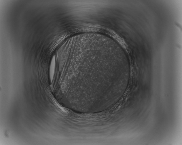 X0000097000009200802291158