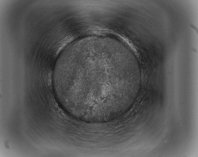 X0000097000010200802291158