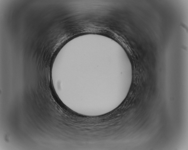 X0000097000011200802291158